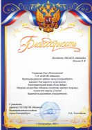 Толстоборова Н.А.