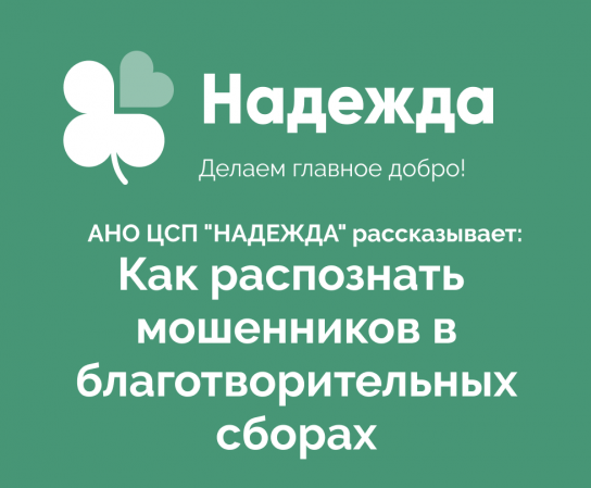 Мошенничество в благотворительности – это крайне негативное и печальное явление